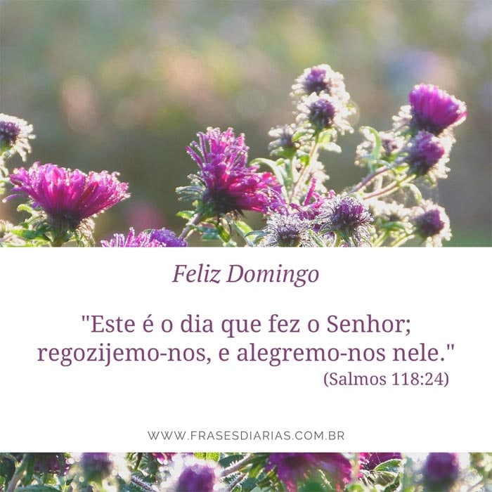 Salmos 118:24 - Este é o dia que fez o Senhor; regozijemo-nos, e alegremo-nos nele