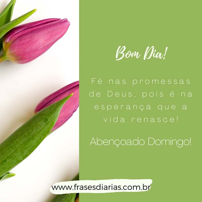 Fé nas promessas de Deus! Abençoado Domingo!