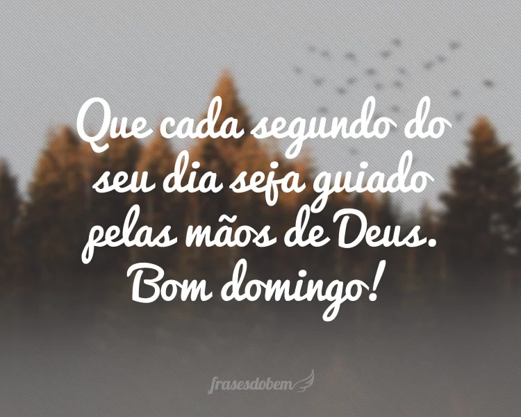 Que seu Domingo seja guiado pelas mãos de Deus