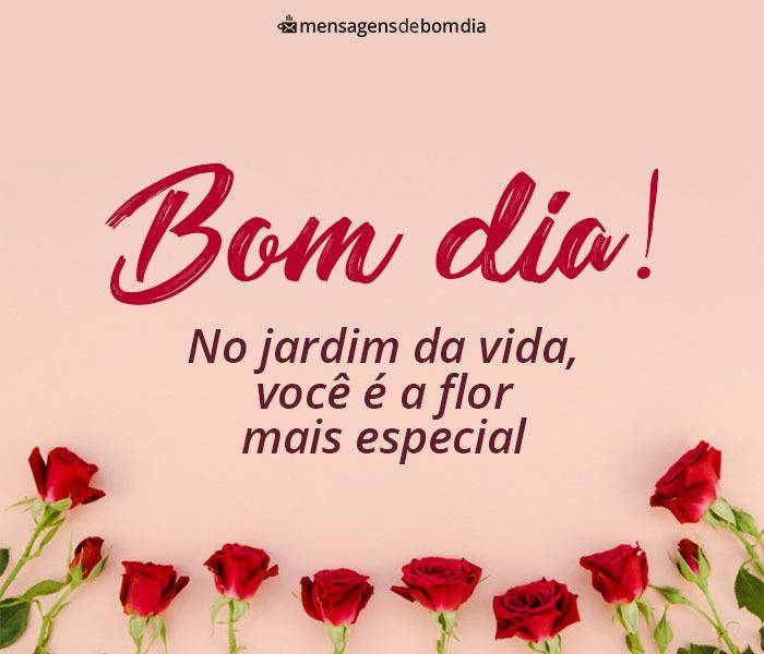 bom dia você é a flor mais especial