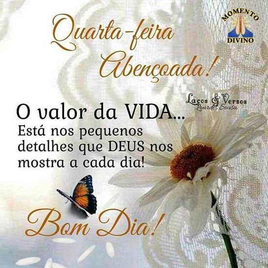 bom dia quarta-feira abençoada o valor da vida está nos pequenos detalhes que Deus nos mostra