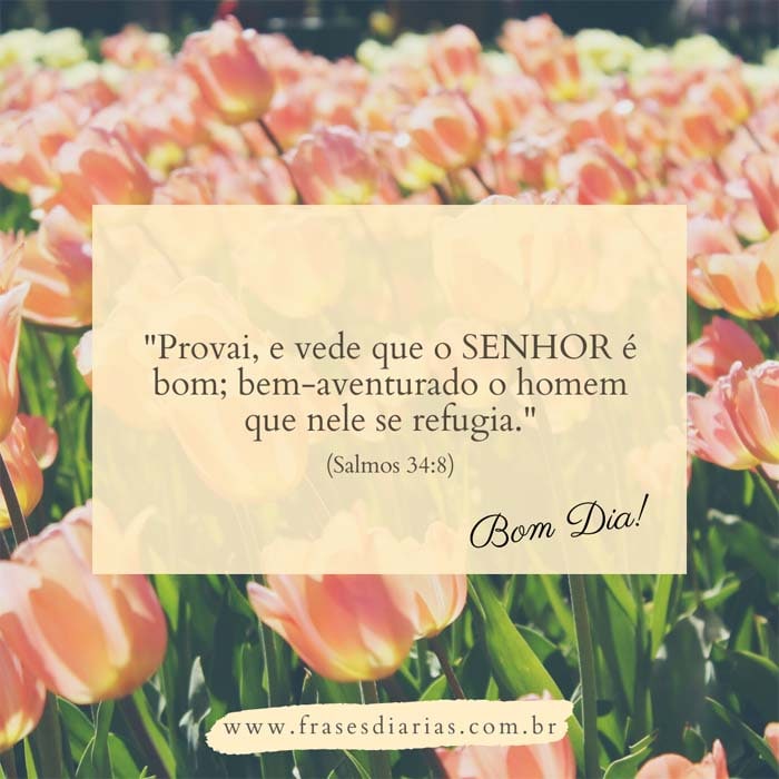 (Salmos 34:8) Provai, e vede que o SENHOR é bom