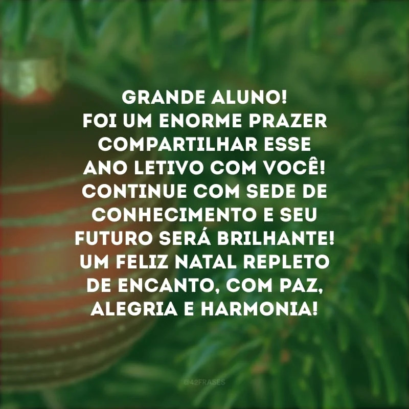 grande aluno Feliz Natal com paz, alegria e harmonia