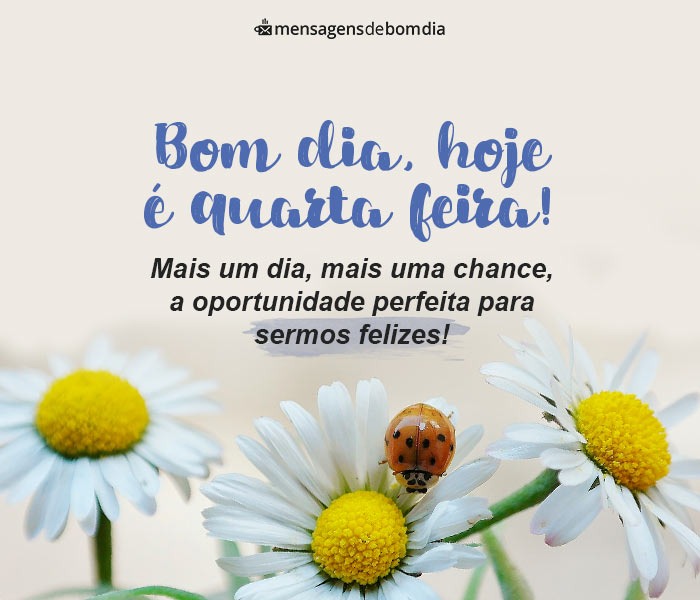 bom dia quarta feira mais um dia para sermos felizes